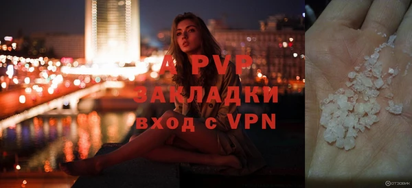 стафф Покачи