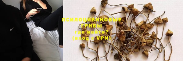 стафф Покачи
