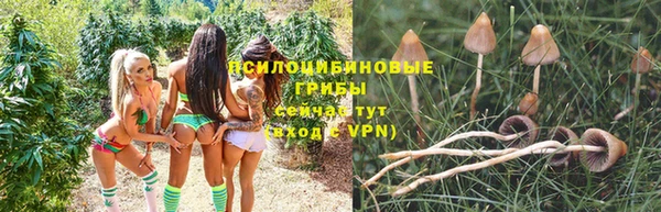 стафф Покачи