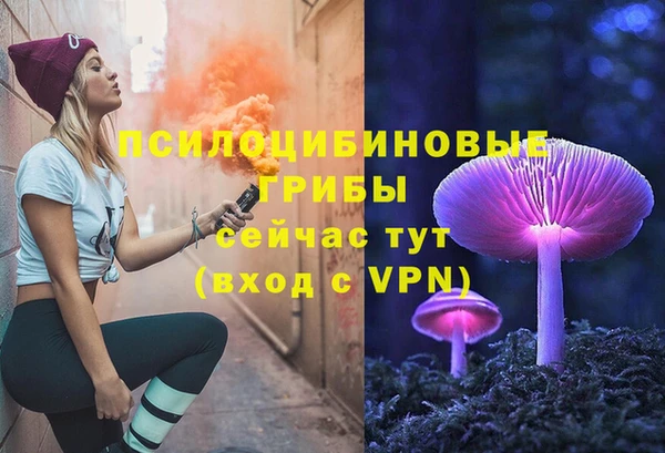 молекула духа Покровск