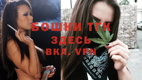 молекула духа Кущёвская
