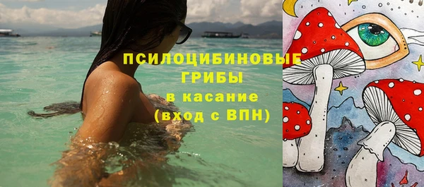 молекула духа Покровск
