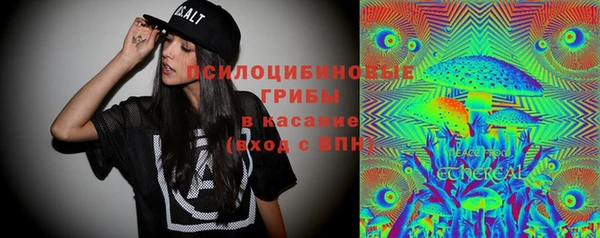 стафф Покачи