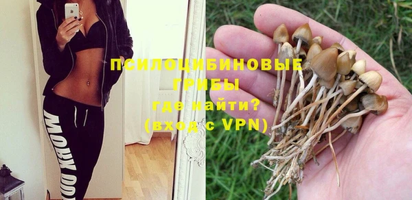 молекула духа Покровск