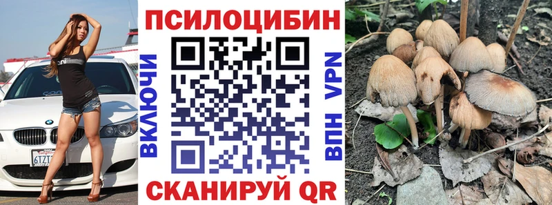 ОМГ ОМГ ТОР купить наркотик Котельнич Галлюциногенные грибы мухоморы