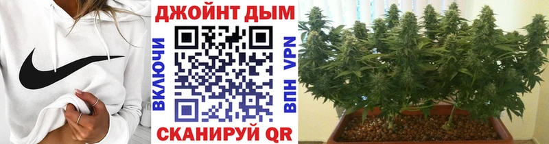 Шишки марихуана Bruce Banner Котельнич